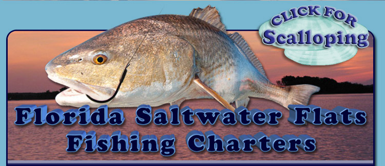 Cedar Key Fishing Guides Charters